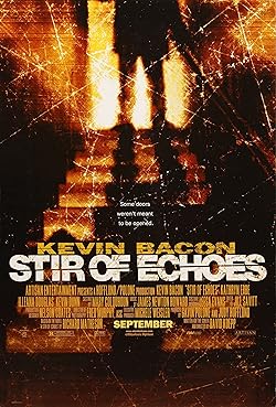 Poster of Stir of Echoes