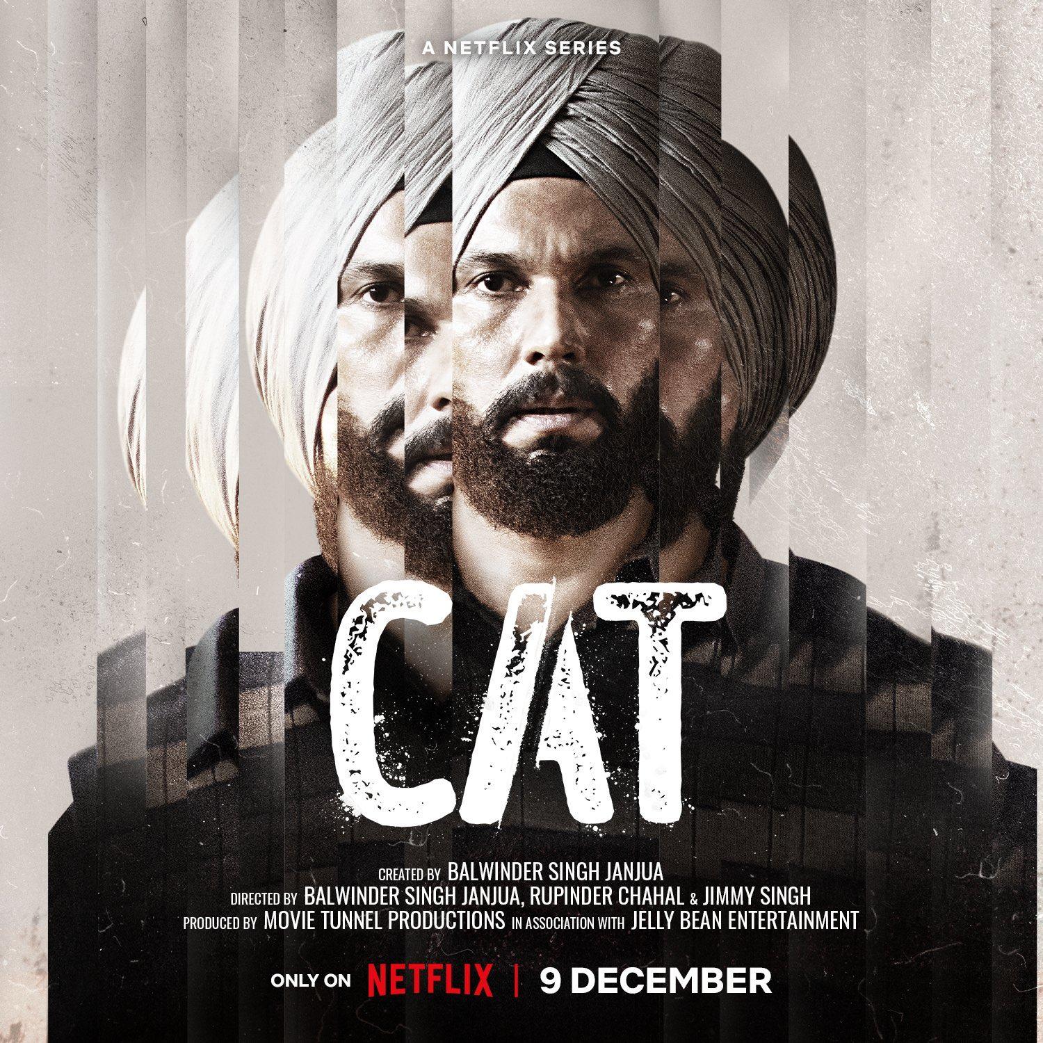 Poster of Cat