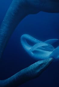 Primary photo for Coasts