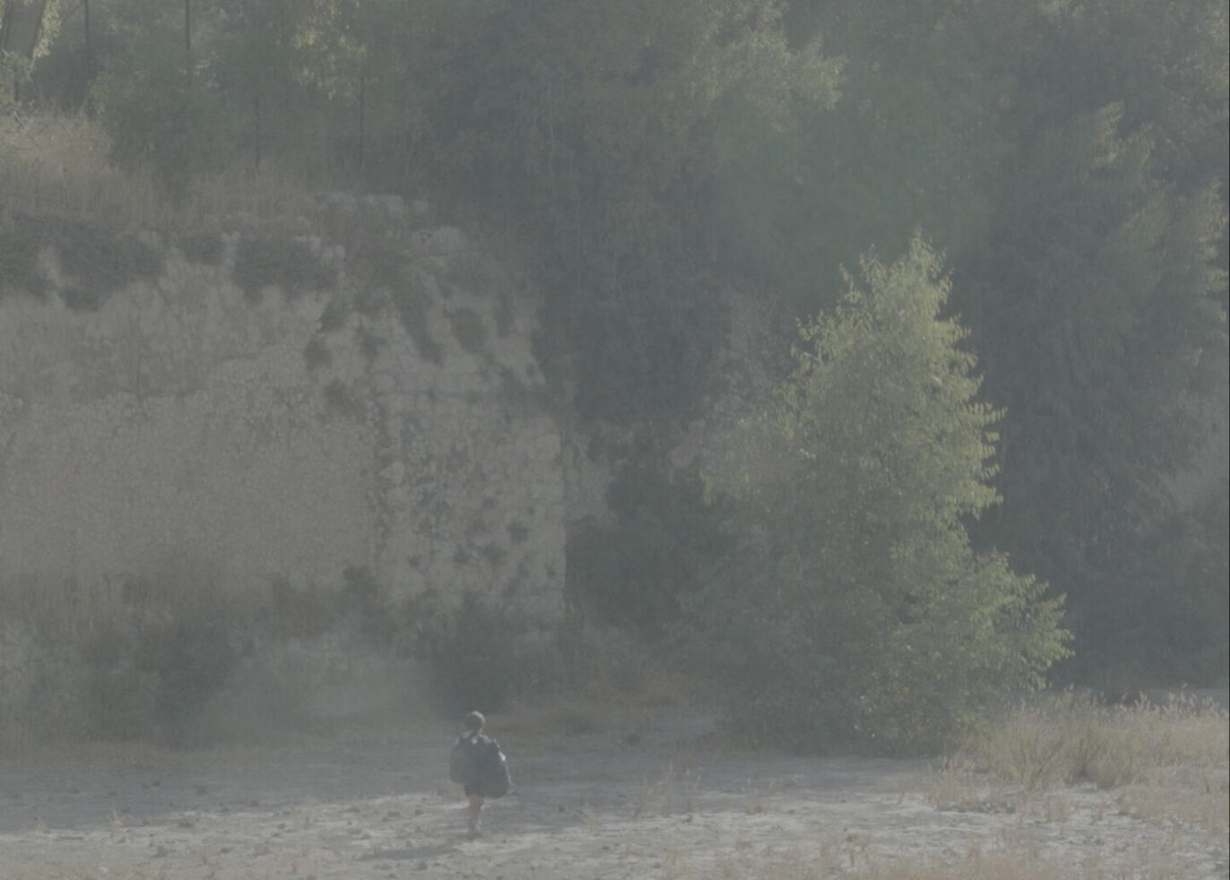 More Windows Than Home