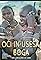 Eyes and Ears of God: Video Surveillance of Sudan's primary photo