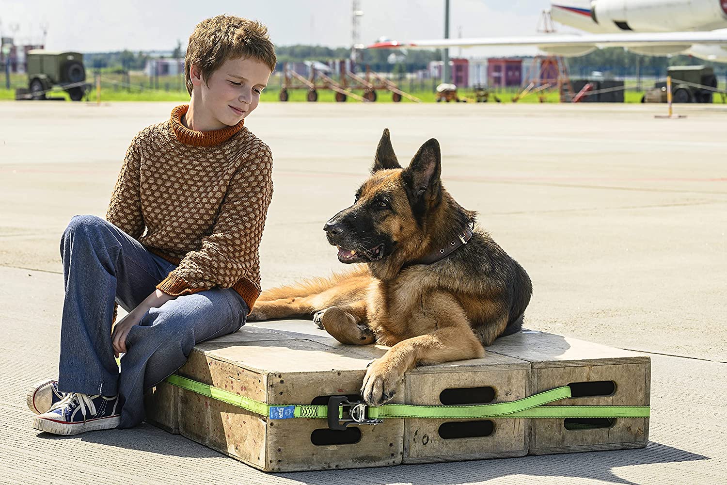 Palma (2021) - IMDb