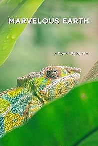 Primary photo for Marvelous Earth