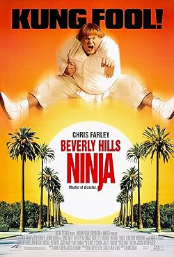 Poster of Beverly Hills Ninja
