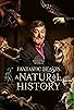Primary photo for Fantastic Beasts: A Natural History