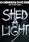 Robin Schulz & David Guetta feat. Cheat Codes: Shed a Light's primary photo