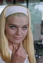 Yalangoch porno fotosuratlarni tomosha qiling Erkakning jinsiy azosiga sigaret ochirish (pornofoto)