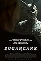 Sugarcane's primary photo