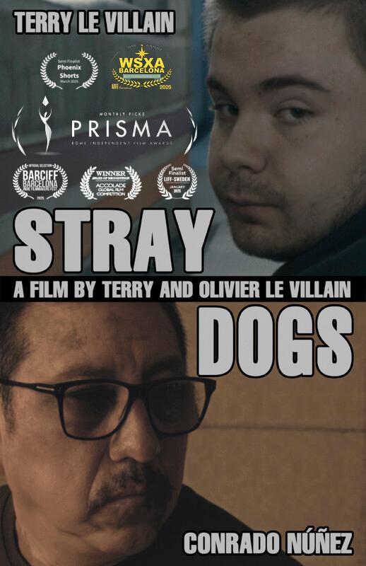 Stray Dogs