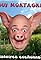 Histoires cochonnes's primary photo