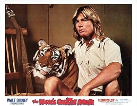 पोस्टर देखें