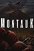 Primary photo for Montauk