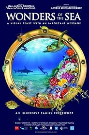 その他 Ocean Wonders [DVD] Amazon.co.jp: Ocean Wonders [DVD] : DVD
