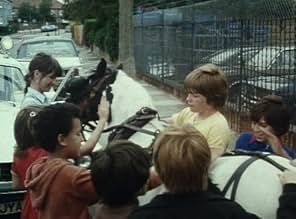 पोस्टर देखें