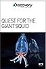 Primary photo for Quest for the Giant Squid Primary photo for Quest for the Giant Squid