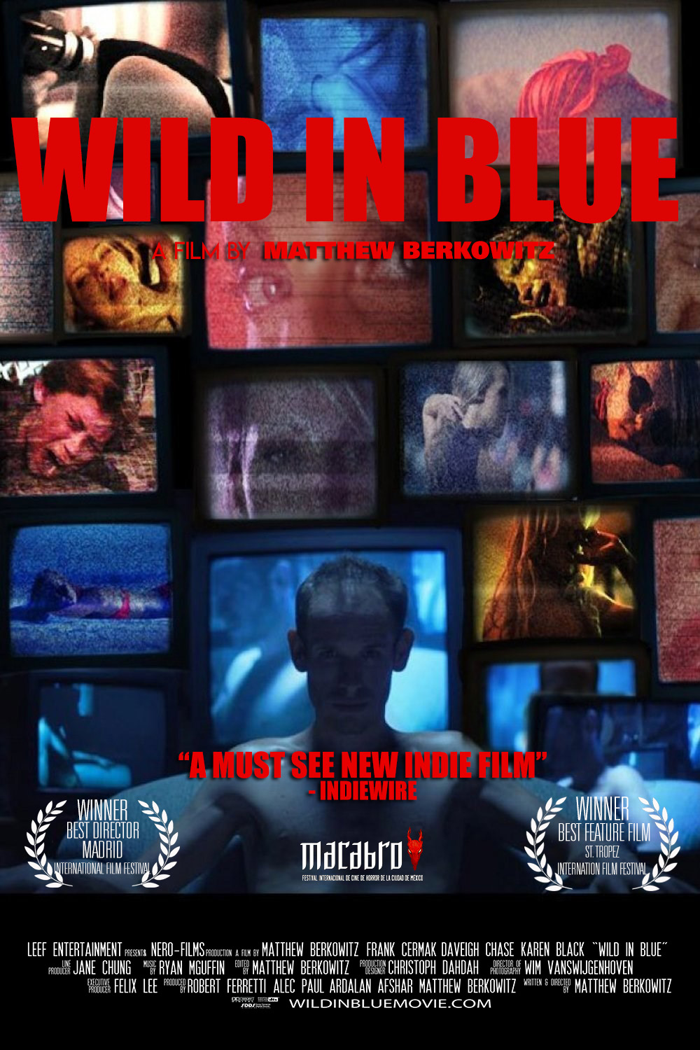 Poster of Wild In Blue
