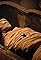 Secrets of the Mummies's primary photo