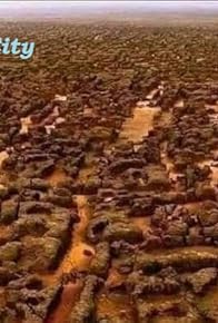 Primary photo for The Divine Journey