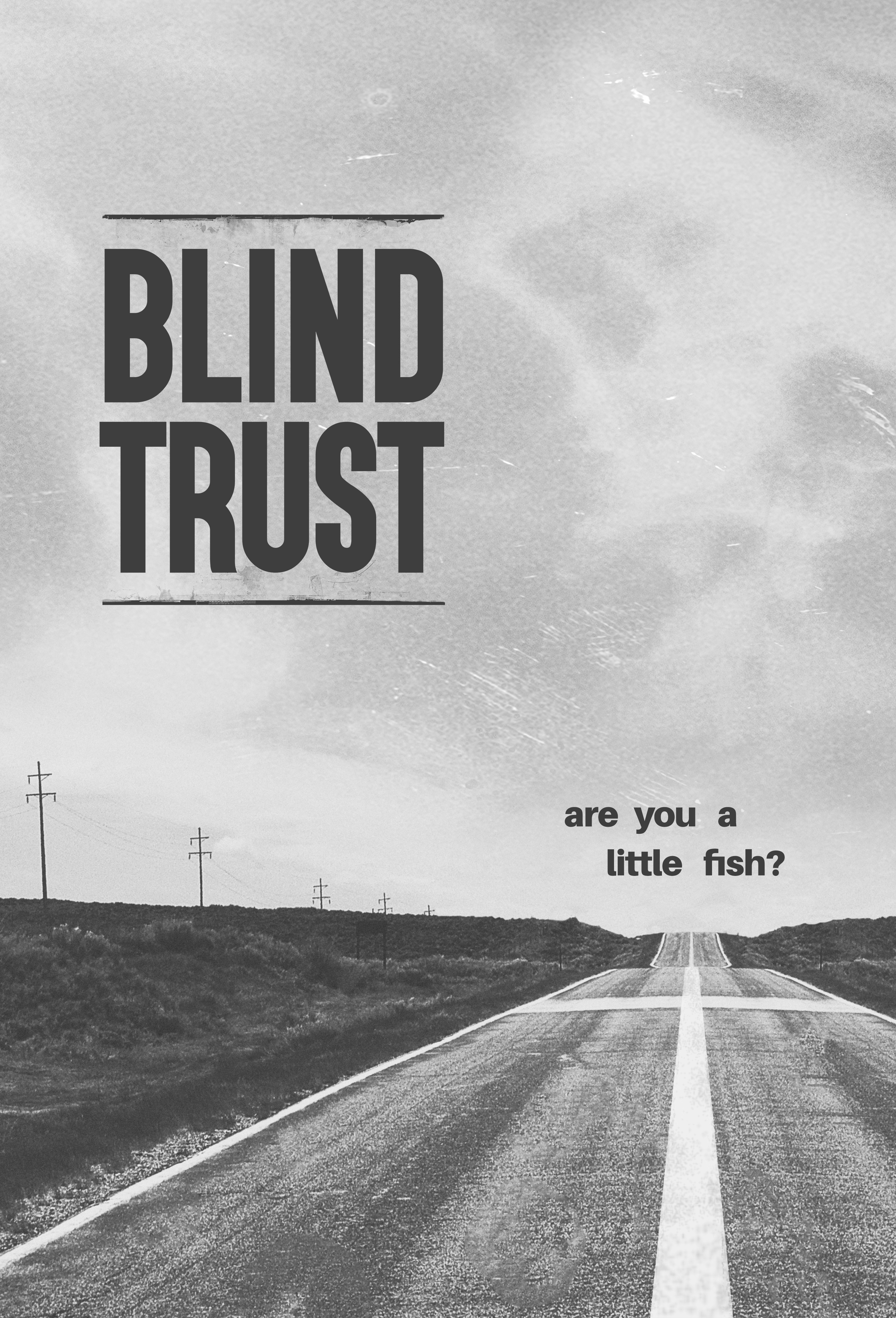 Poster of Blind Trust