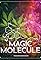 Magic Molecule's primary photo