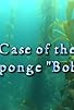 Primary photo for Case of the Sponge 'Bob' Primary photo for Case of the Sponge 'Bob'