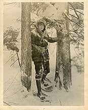 पोस्टर देखें