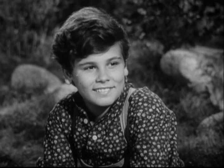 Stars in My Crown (1950) - IMDb