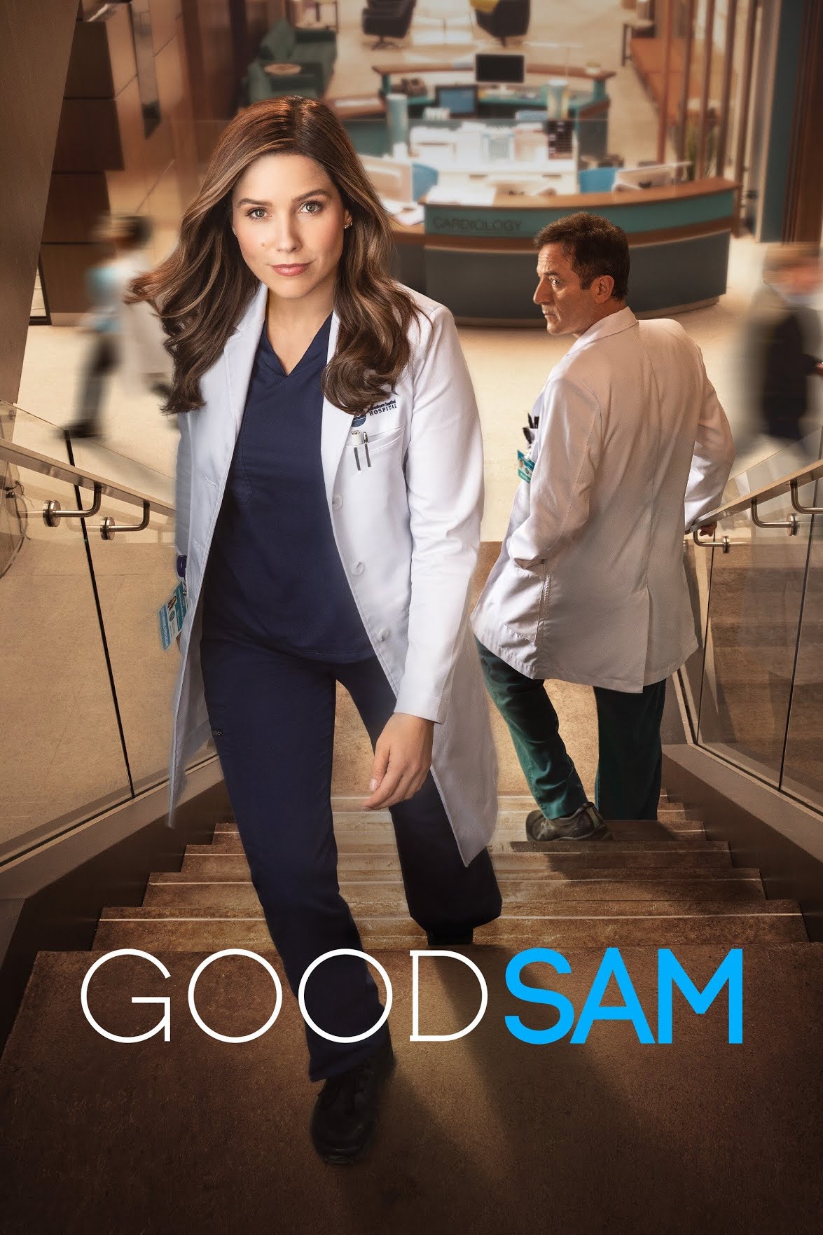 Poster of Good Sam