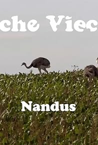 Primary photo for Freche Viecher