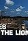 Eyes of the Lion's primary photo