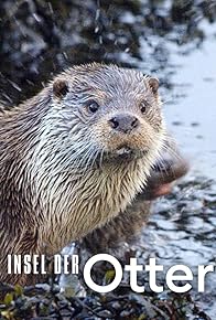 Primary photo for L'île aux loutres: une affaire de famille