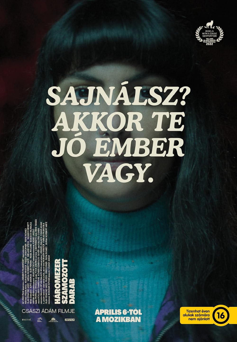 Three Thousand Numbered Pieces