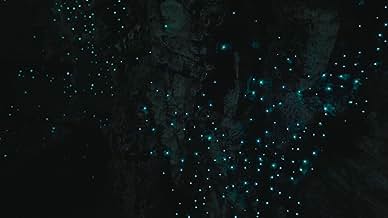 पोस्टर देखें