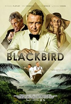Poster of Blackbird (2022)