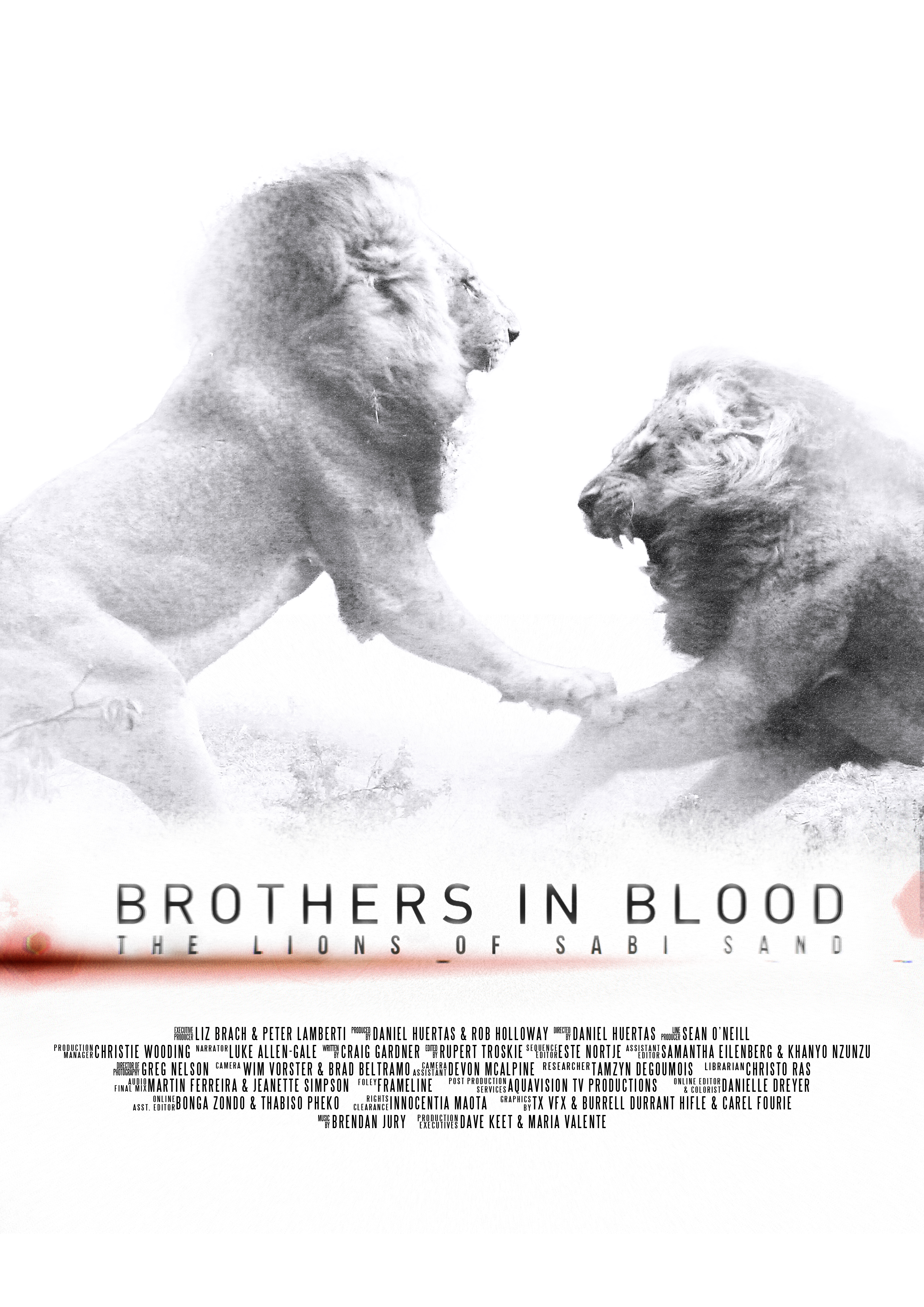 Poster of Brothers in Blood: The Lions of Sabi Sand