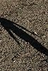 Primary photo for In the Shadows
