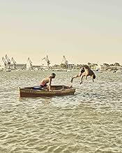 पोस्टर देखें