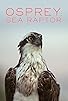 Primary photo for Osprey: Sea Raptor
