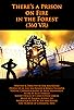 Primary photo for There's a Prison on Fire in the Forest (360 VR)