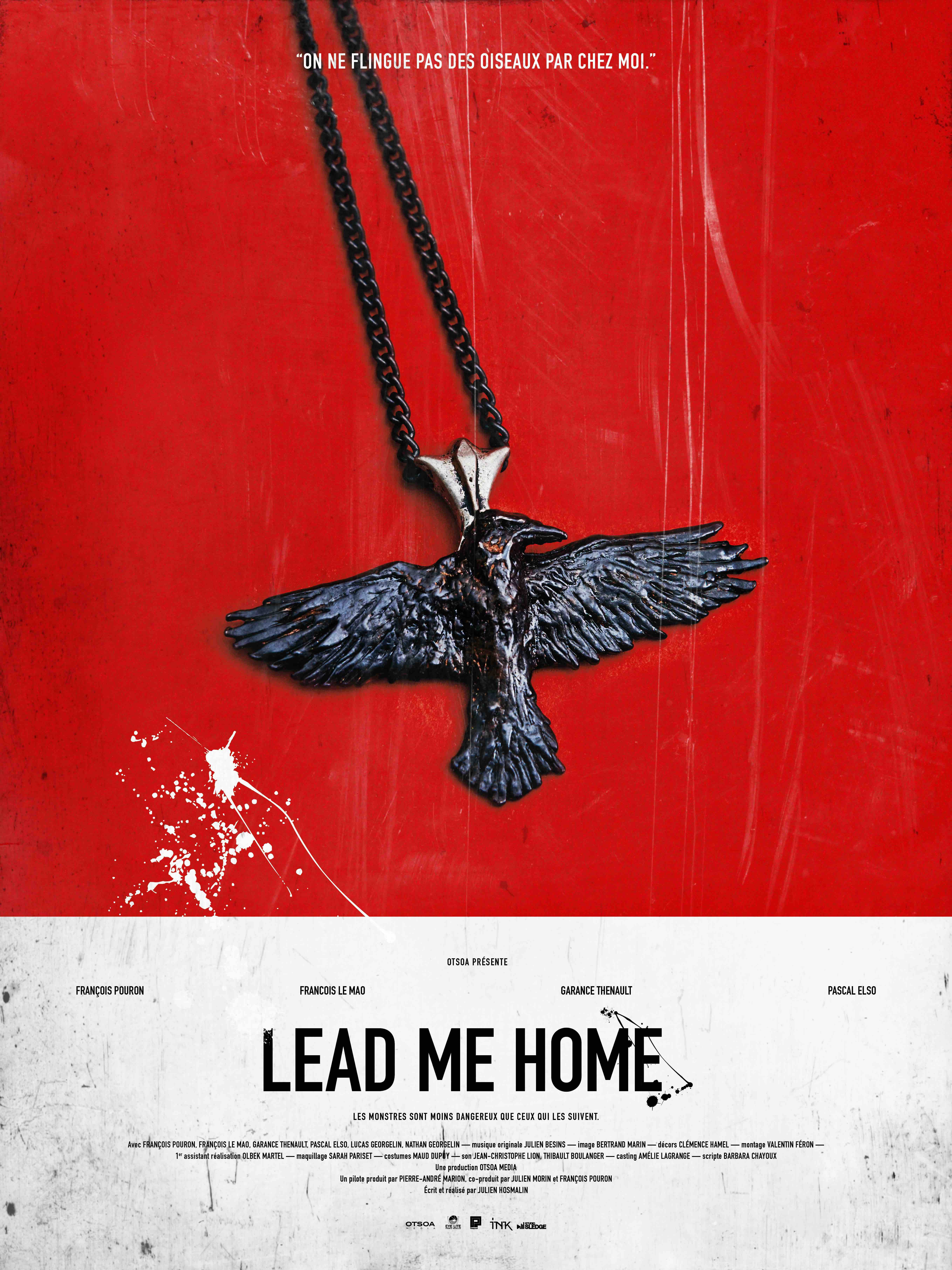 Poster of Lead Me Home