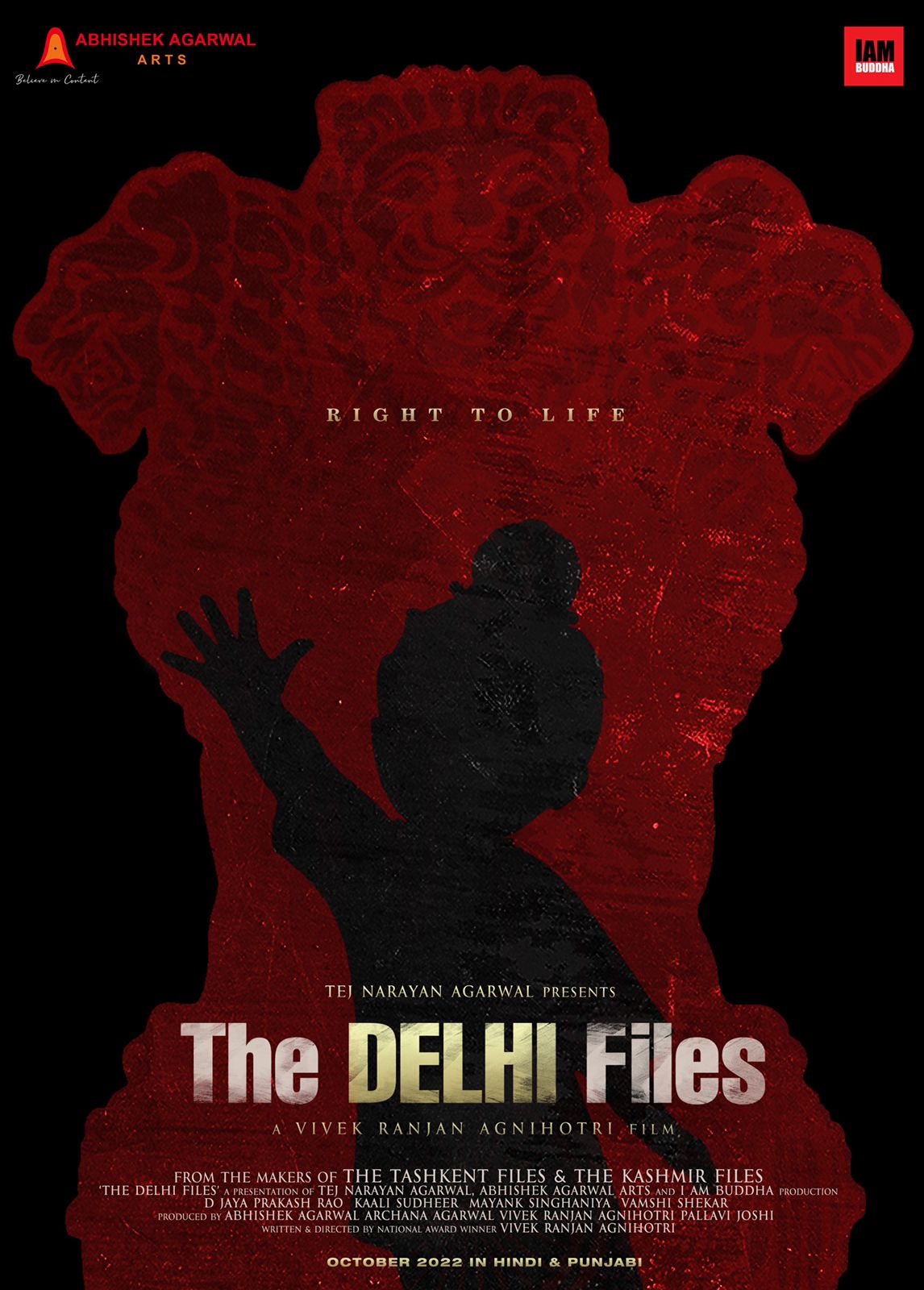 Picture of The Delhi Files