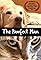 The Pawfect Plan's primary photo