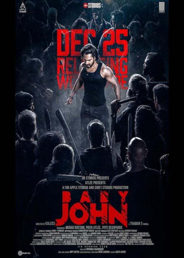 Baby John 2024 Hindi Full Movie HDRip 480p 720p