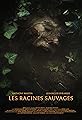 Les Racines Sauvages's primary photo