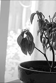 Primary photo for Go Solo