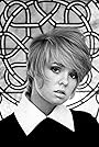 Joey Heatherton's primary photo Joey Heatherton's primary photo