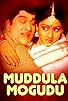 Primary photo for Muddula Mogudu Primary photo for Muddula Mogudu