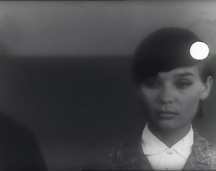 Kokrak qafasidagi jinsiy aloqa