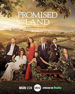 Poster of Promised Land