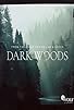 Primary photo for Dark Woods